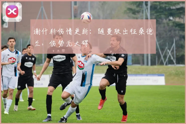 谢什科伤情更新：随曼联出征桑德兰，伤势无大碍
